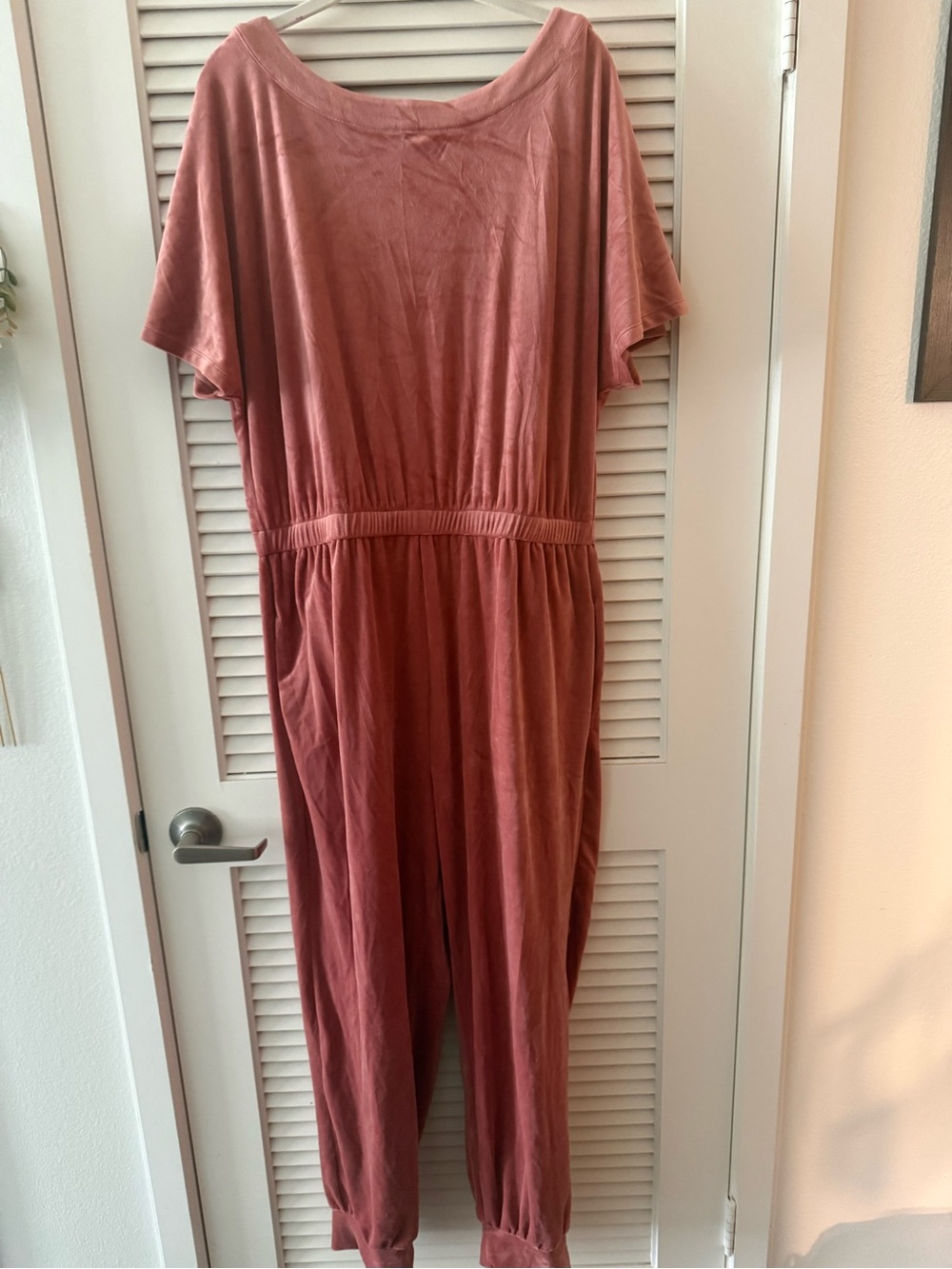Women's Anthropologie Velvet Jumpsuit - Dusty Rose
